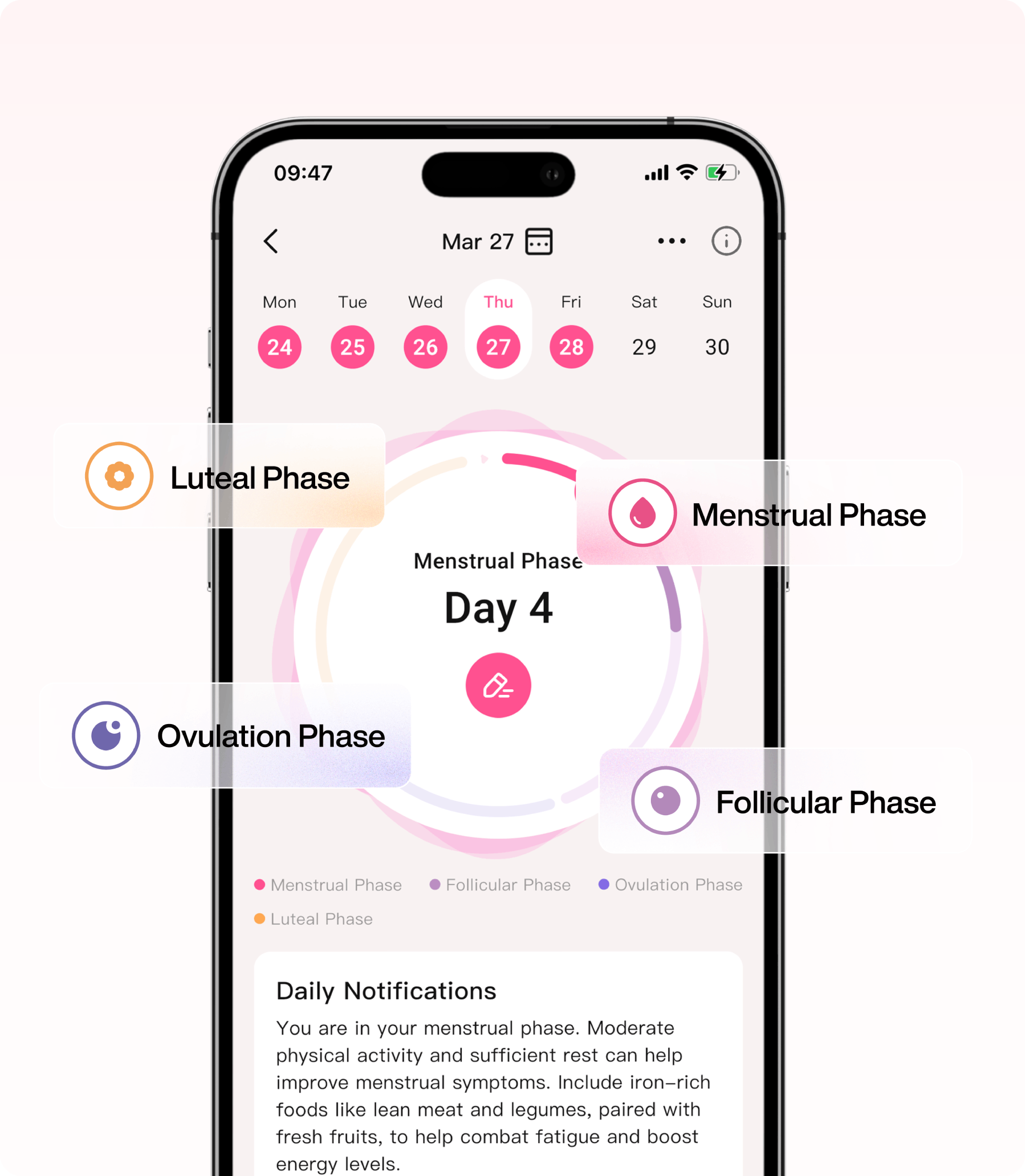 Menstrual cycle tracking app on a smartphone, displaying phases and daily notifications for health.